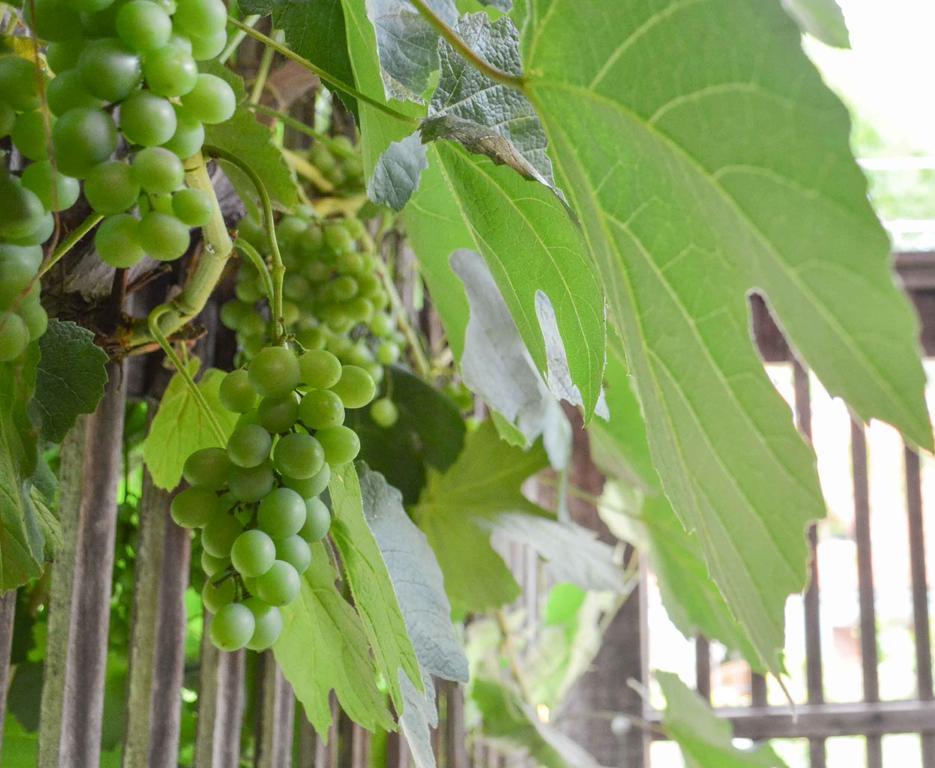 Pousada Al Chaddai 圣洛伦索 外观 照片